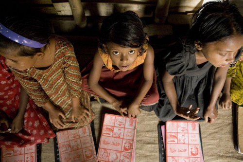 8135451184 1cb3d8048e o